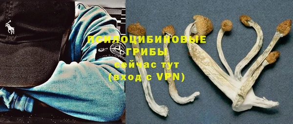 прущая мука Бородино