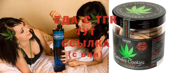 spice Богородицк